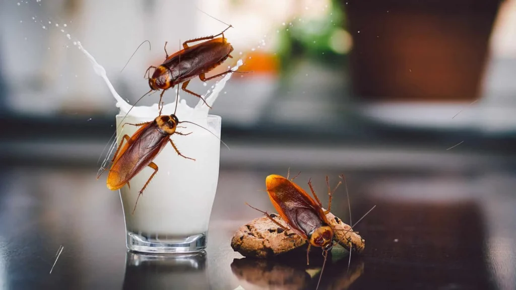 Is Cockroach Milk More Nutritious Than Cow's Milk