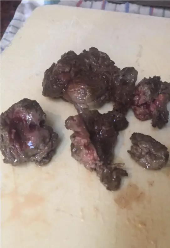 The group of friends decided to make human shin fajita tacos out of the amputated leg.